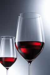 Schott Zwiesel Vina Bordeaux glas 130 - 0,63 liter - 6 stuks