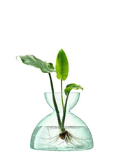 Kanopy Vaas 18 cm