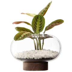 Oblate Vaas 19,5 cm