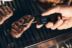 Premium insteekthermometer
