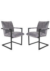 HSM-collectie - Eetkamerstoel Boston S/2 - 56x68x89 - Dolfijn Grijs/Zwart - Stof/Metaal
