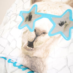 Dekbedovertrek No drama Llama Wit 140 x 220