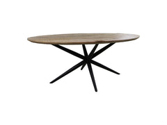 Ovale Eettafel Bern Swiss Edge-180x100x76-Natuur/Zwart-Mango/Metaal