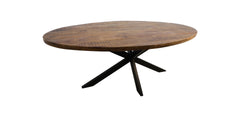 Ovale Eettafel Melbourne-220x110x76-Natuur/Zwart-Mango/Metaal