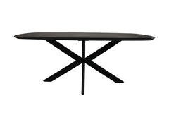 Ovale Eettafel-200x100x76-Zwart-Mango/Metaal