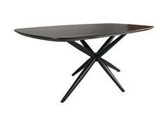 Ovale Eettafel-200x100x4-Zwart-Mango/Metaal