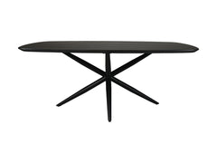Ovale Eettafel-200x100x4-Zwart-Mango/Metaal