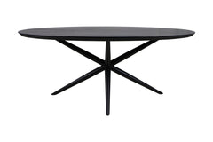 Ovale Eettafel-2-220x100x76-Zwart-Mango/Metaal