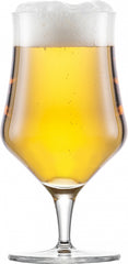 Schott Zwiesel Beer Basic Craft bierglas met MP - 0.3 Ltr - 6 stuks
