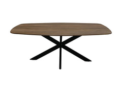 eettafel-200x100x76-natuurlijk/zwart-mango/metaal