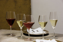Schott Zwiesel Audience Champagneglas met MP 77 - 0.25 Ltr - 6 stuks - Champagneglas