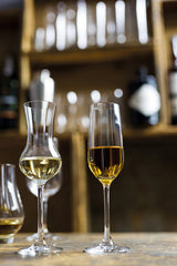 Schott Zwiesel Bar Special Sherryflûte 34 - 0.12 Ltr - 6 stuks - Wijnglas