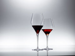 Schott Zwiesel Finesse Bourgogne glas 140 - 0,66 Ltr - 6 stuks